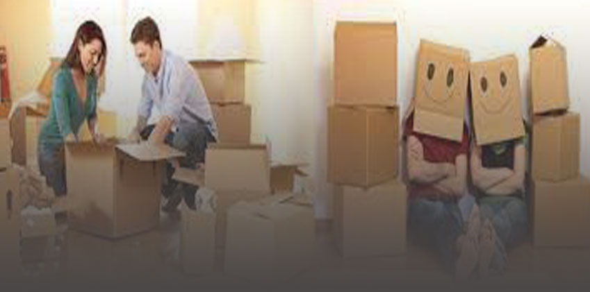 Local Shifting Services