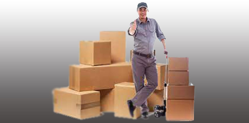 Packers and Movers Services